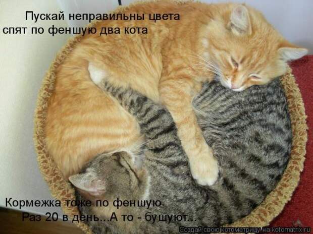 Мысли вслух :)