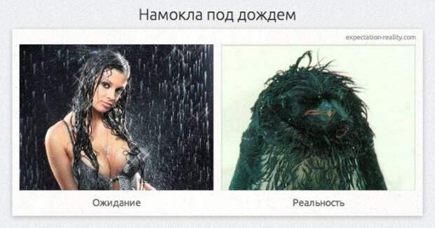 Жизнь в ожиданиях и реальности