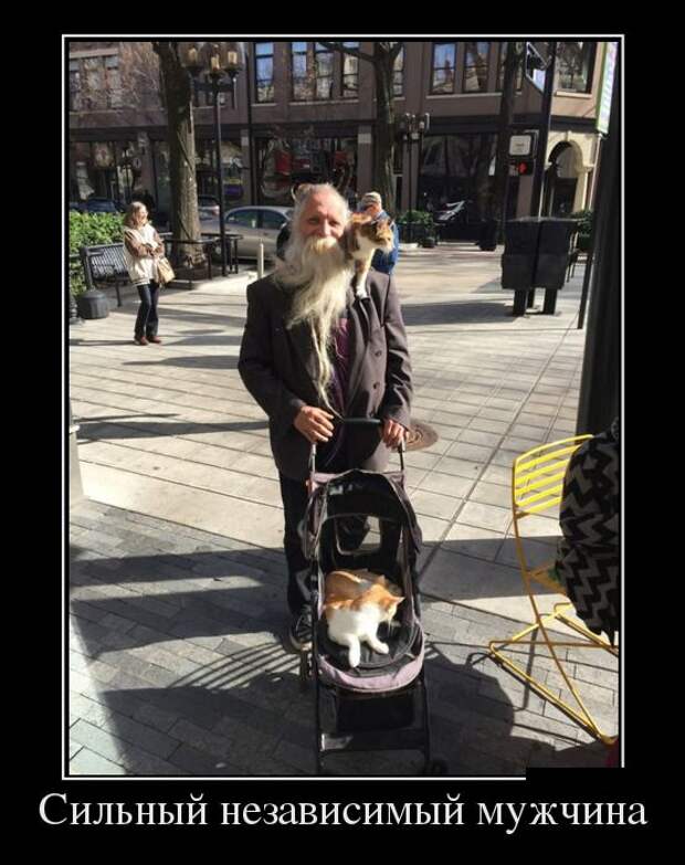 Демотиваторы (30 фото)