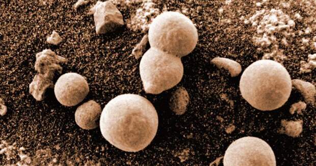 Ученые утверждают, что обнаружили на Марсе растущий грибок