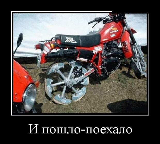 Демотиваторы (30 фото)