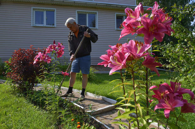Росреестр хочет обязать садоводов начать осваивать участки в течение трех лет