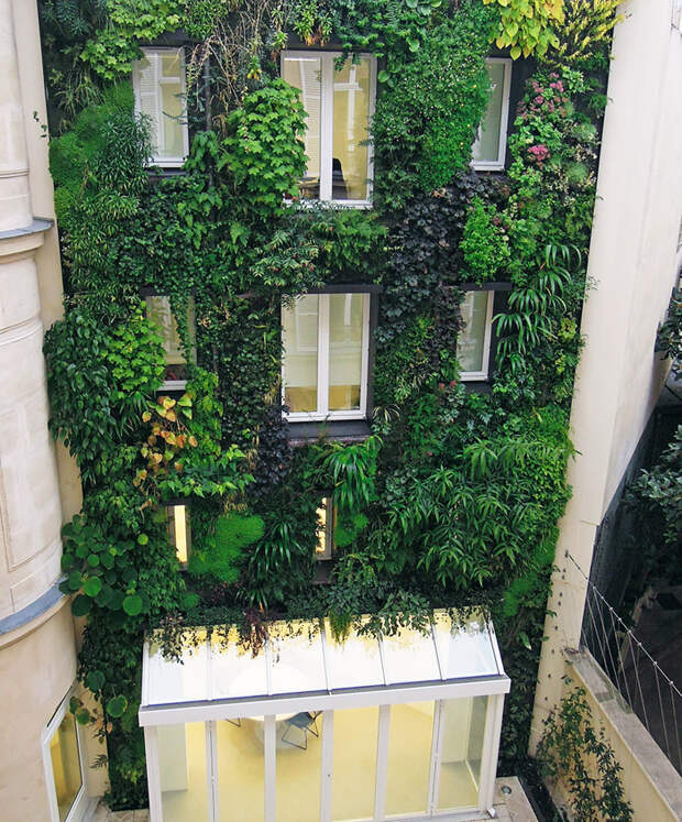 В Париже вступил в силу новый закон, поддерживающий городских садоводов закон, озеленение, париж, садоводство
