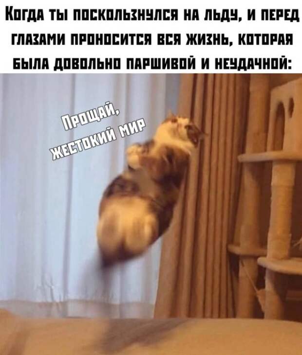 Прикольные картинки абавсём:D