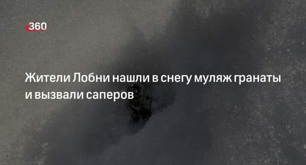 Жители Лобни нашли в снегу муляж гранаты и вызвали саперов