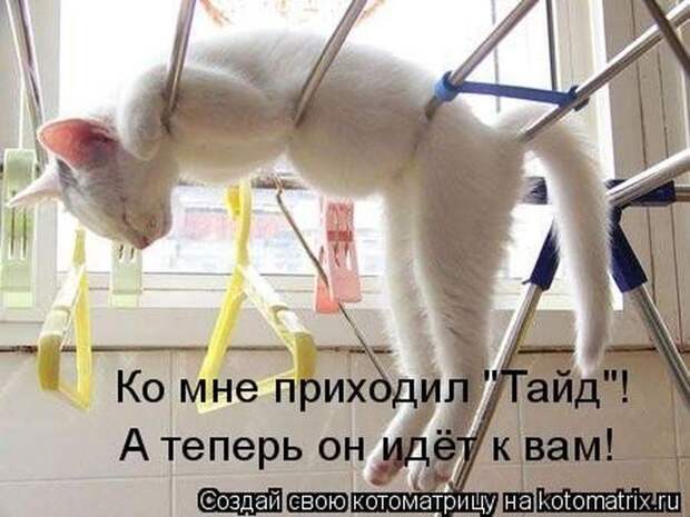 Мысли вслух :)