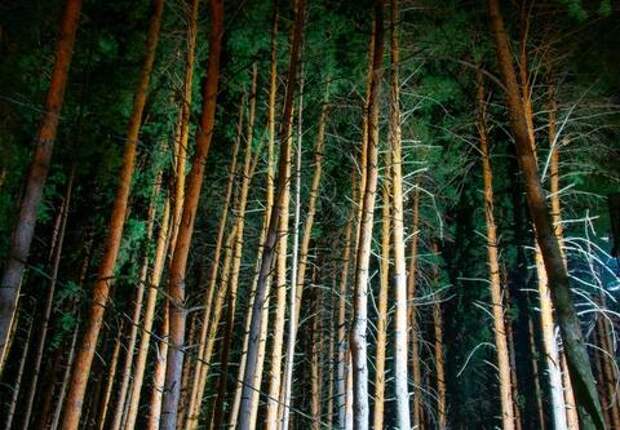 Гора Шизе на Кубани открывается для маломобильных туристов