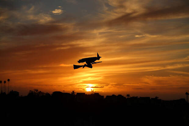 best-reuters-photos-2016-5-585795a68b36b__880