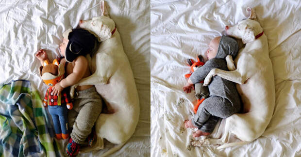 Восхитительные снимки спящих в обнимку малыша и спасенной от усыпления собаки