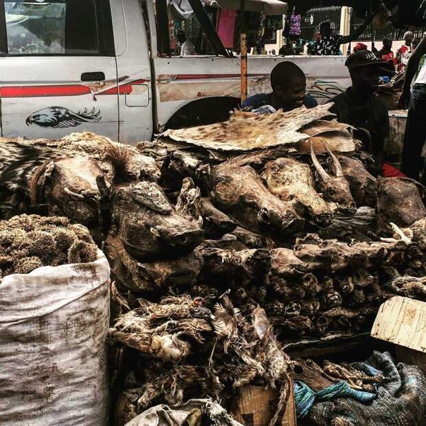 На рынках Бамако можно найти что угодно: от высушенных голов животных до огнестрельного оружия Бамако, Западная Африка, мали, путешествия, столица Мали, столицы Африки, столицы стран мира
