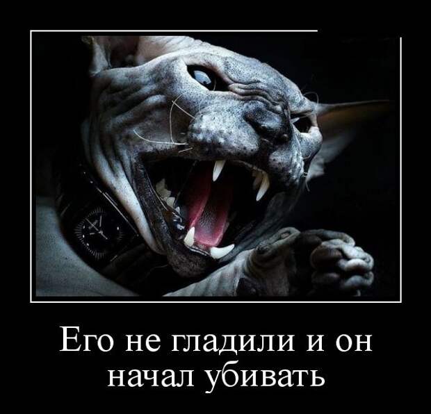Демотиваторы (30 фото)