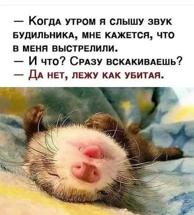 Выходные нет не слышали картинки