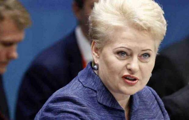 Литва обещает помочь Украине с получением «безвиза» с ЕС