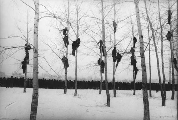 жизнь советской эпохи в фотографиях 60