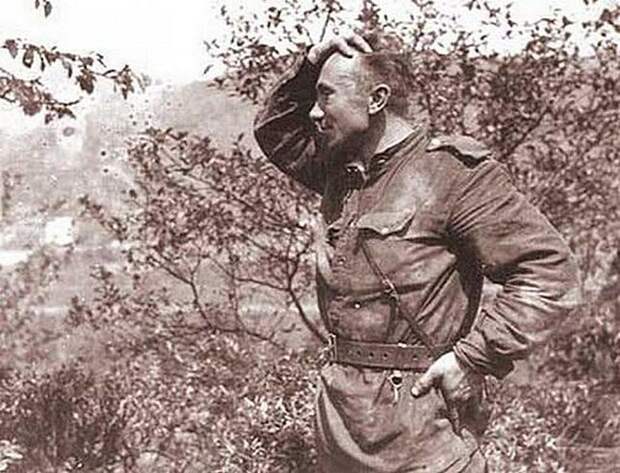 Фронтовые фотографии Алексея Макаровича Смирнова Фронтовые фотографии Алексея Макаровича Смирнова