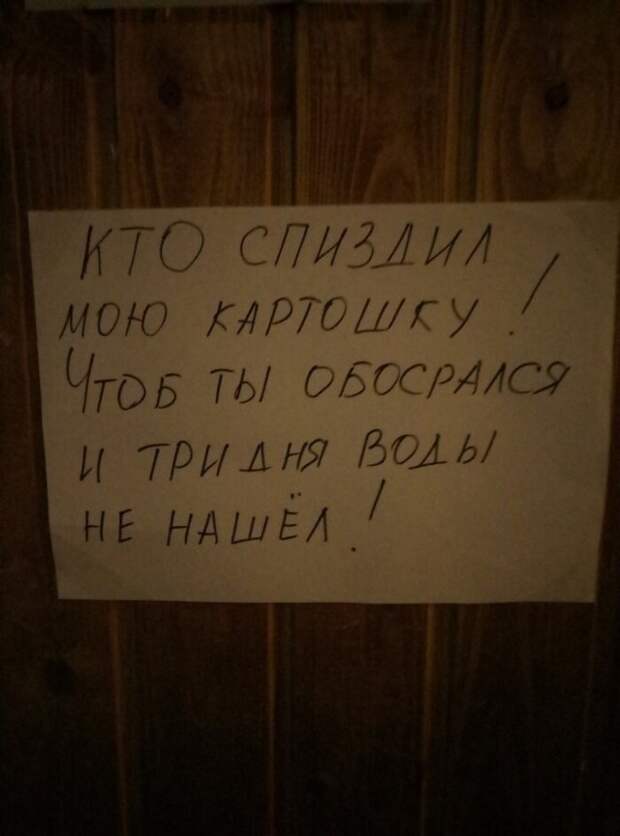 Безумие, которое творится в студенческих общежитиях