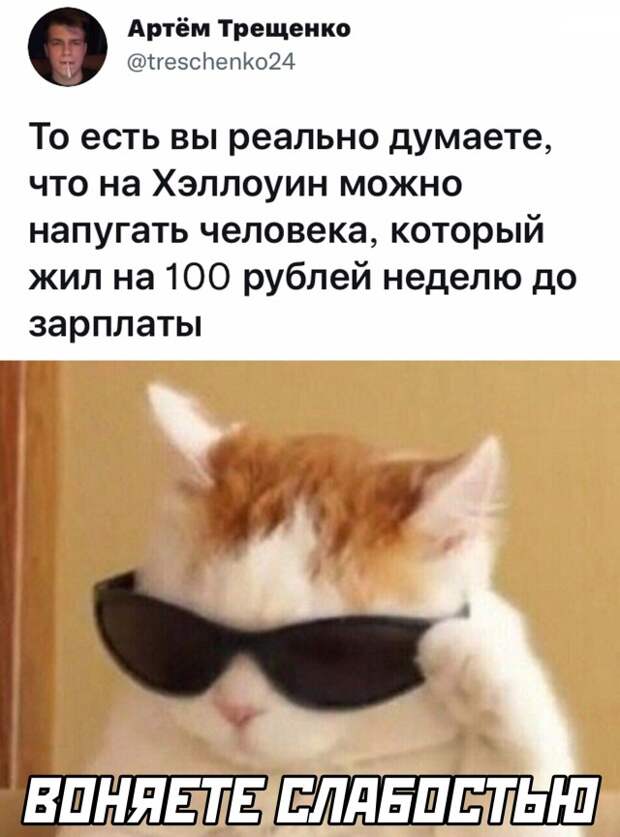 Смешные картинки 1 ноября 2021 года