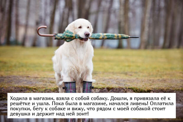 www.vsyako.net