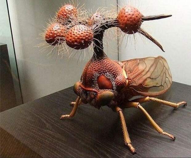 Насекомые, которые сумеют вас удивить!