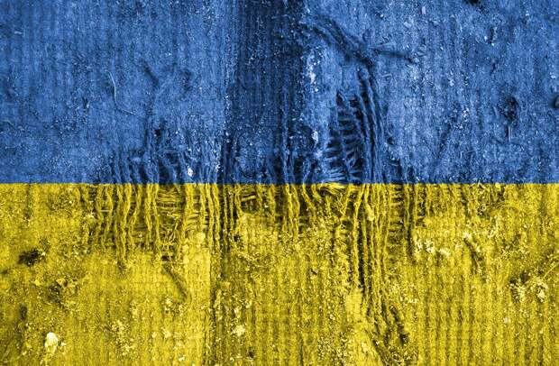 Украина вошла в состав ООН по правам человека