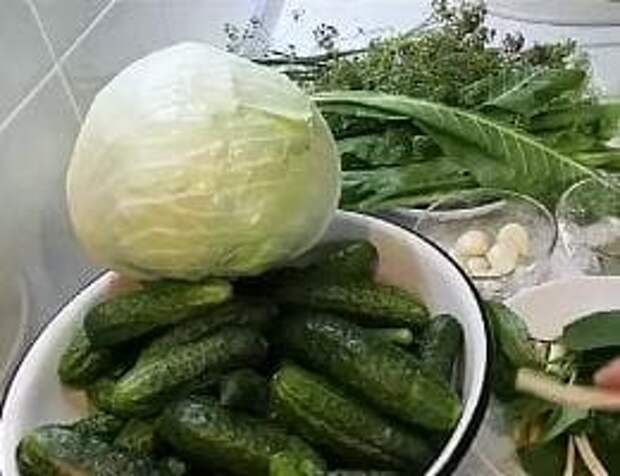 Засолка огурцов в капустных листьях