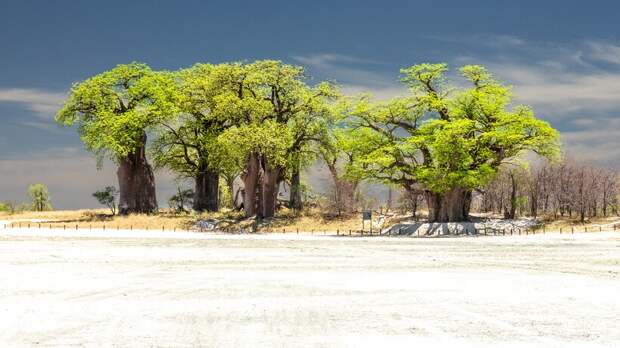 Фото: Thomas Retterath / flickr.com