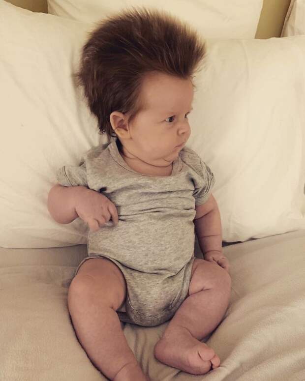 4-месячный малыш из Австралии порвал миллионы людей своей шевелюрой