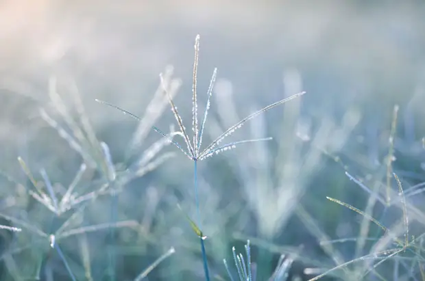 Красота при низких температурах