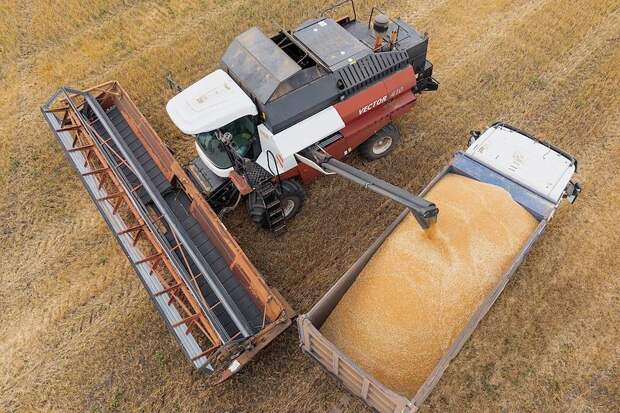 Поставки российского продовольствия за рубеж заметно просели