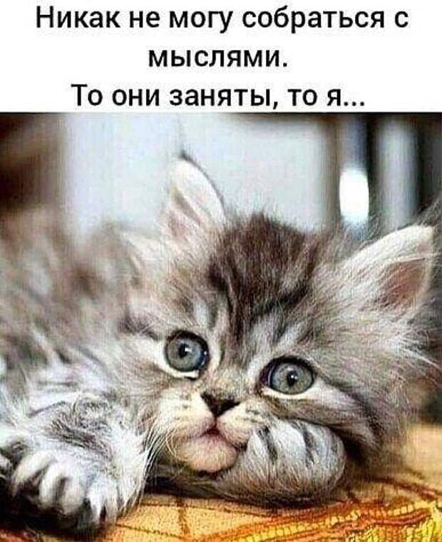 Прикольные до слез свежие мемы (пятница)