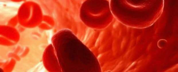 Может ли быть низкий гемоглобин при густой крови thumbnail