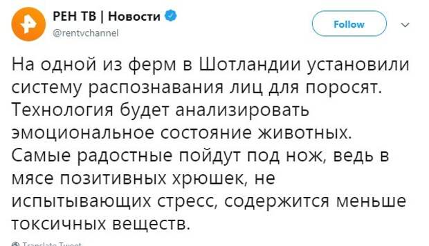 Рен тв как всегда о самом главном.