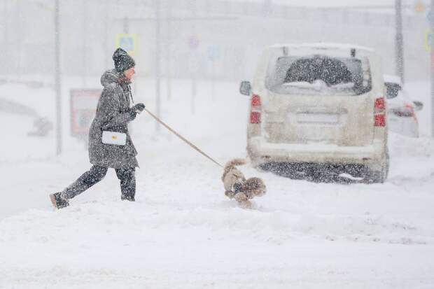 Москвичам пообещали метель