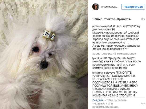 Скрин поста из Инстаграм