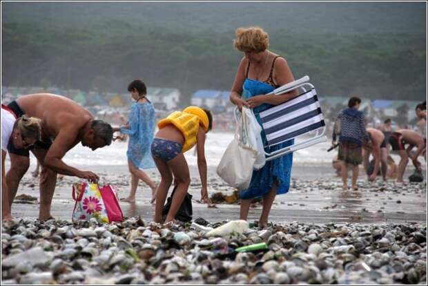 Побережье острова Лангеоог засыпало пластиковыми яйцами выбросило на берег, интересное, море, шторм