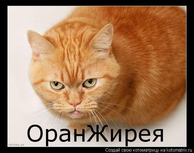 Мысли вслух :)