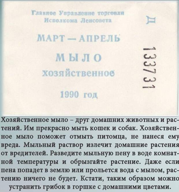 Что нужно знать о хозяйственном мыле