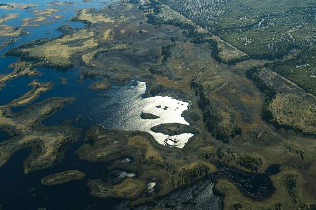 Фото: dacfinger / flickr.com