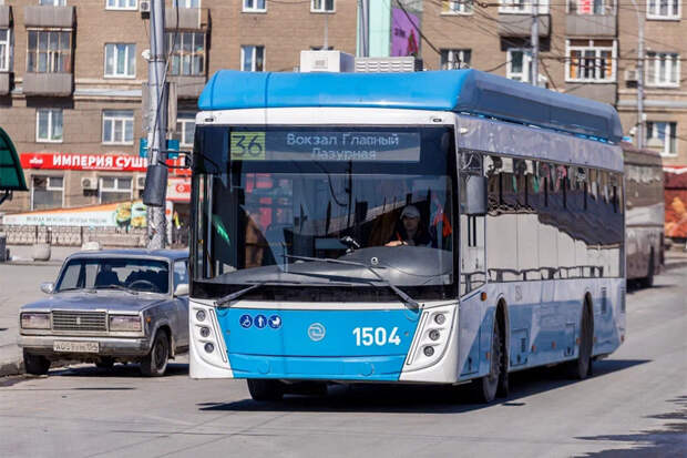 Троллейбусы переживают всплеск популярности в Новосибирске