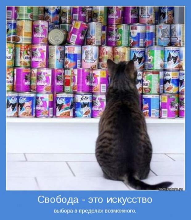 Мотиваторов будет достаточно.