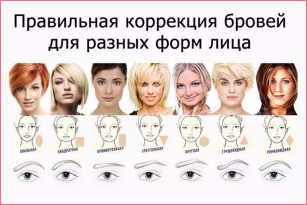 Картинки по запросу После коррекции бровей необходимы компрессы из ромашки и коры дуба