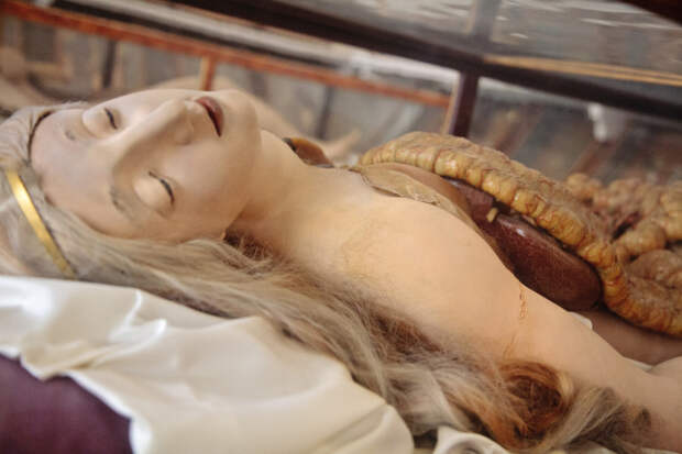 Анатомическая Венера: на ком учились патологоанатомы XVIII века