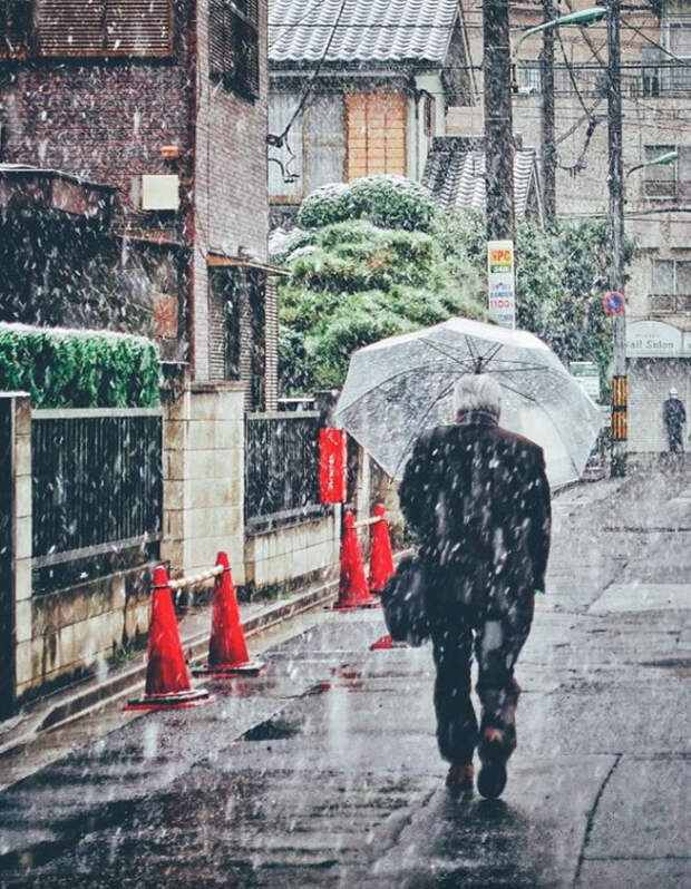 Tokyo First Snow In November 2016