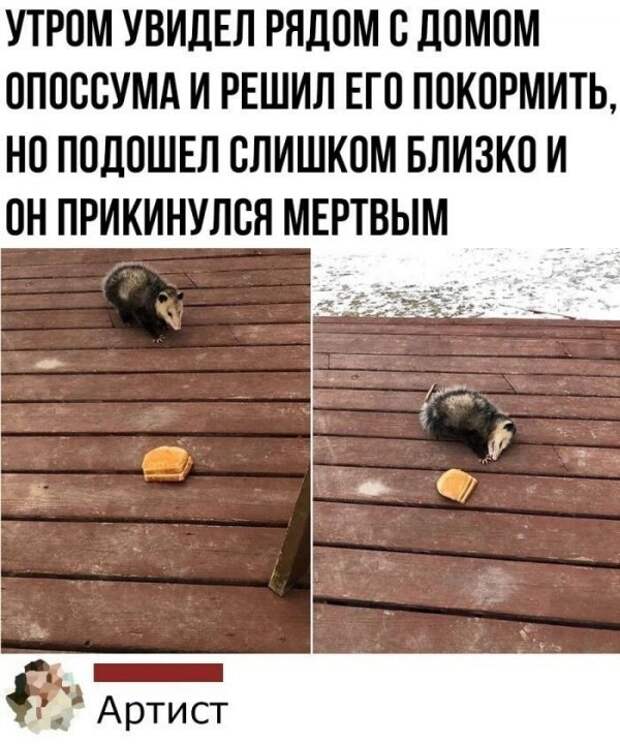 Всякие разные картинки