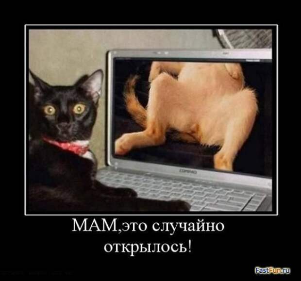 Подборка демотиваторов