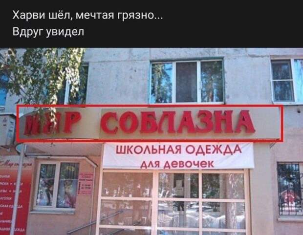 204724_8_trinixy_ru.jpg