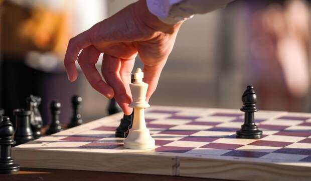 Студенты московских вузов поборолись за кубок по нардам