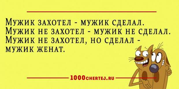 25 добродушных анекдотов в карточках, заряжающие словно батарейки.