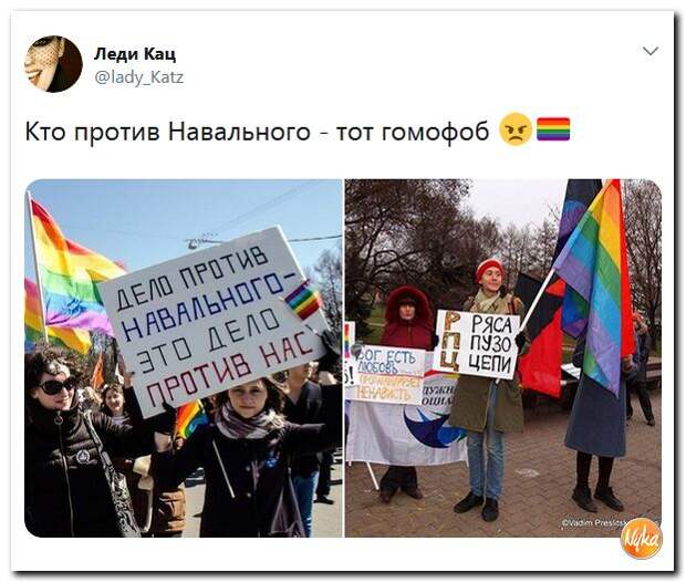 Алиса стенка против гомофобов