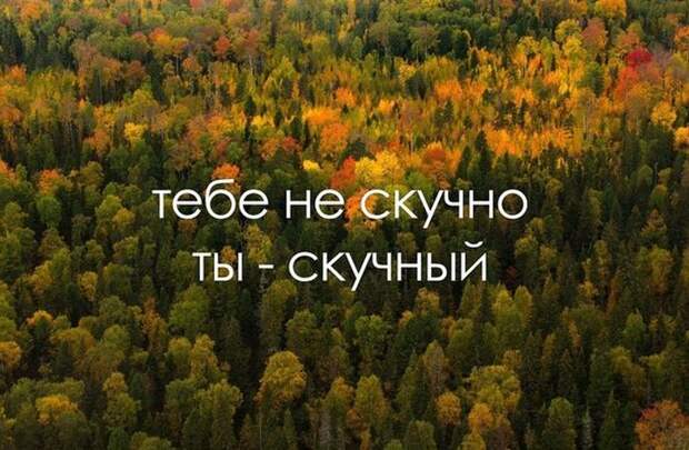 Прикольные картинки Прикольные картинки